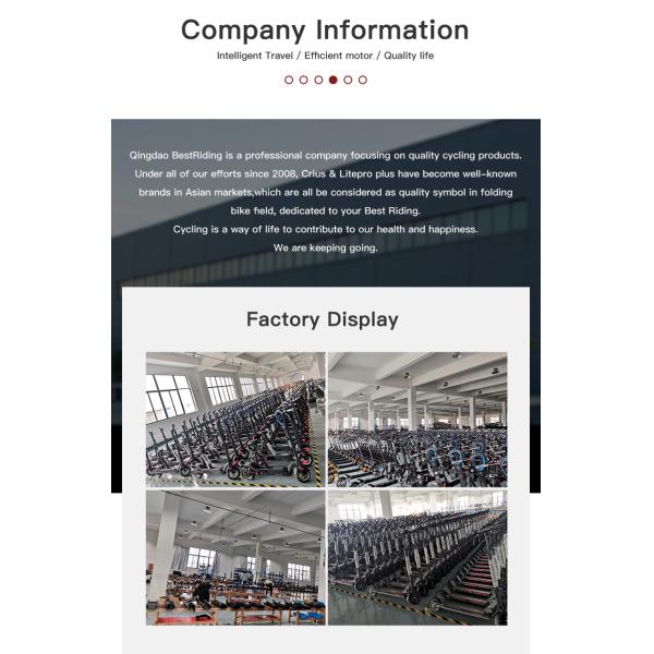 Directly 48V 500W Brushless Electric Motor For Mountain Bikes With Front Fork Suspension