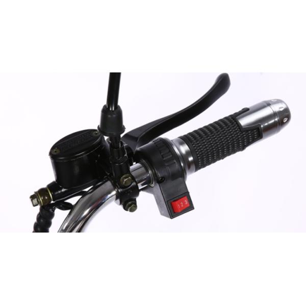 Eec Coc European Electric Scooter 120kg Long Range City Coco Fat Tire Scooter