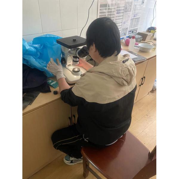 BA Stainless Metal Strips AISI ASTM GB 410 420 430 440 Cold Rolled Hot Rolled