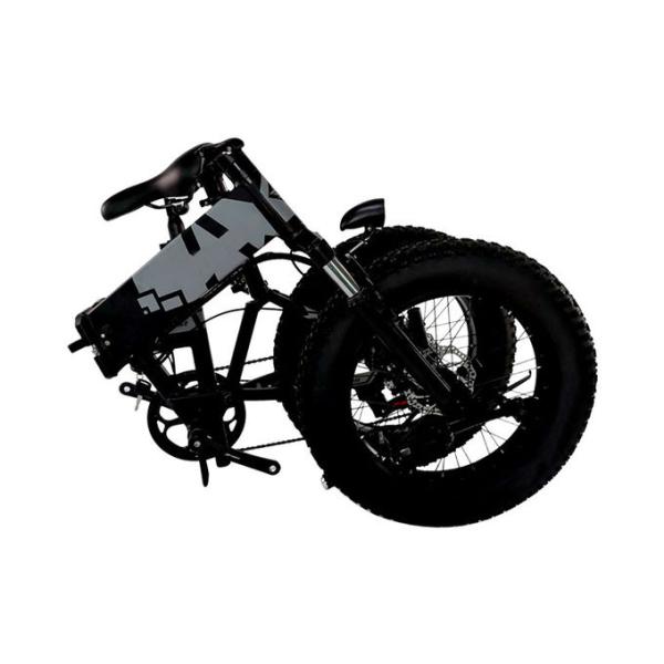Aluminum 20 Inch 750w Full Suspension Fat Tire Ebike