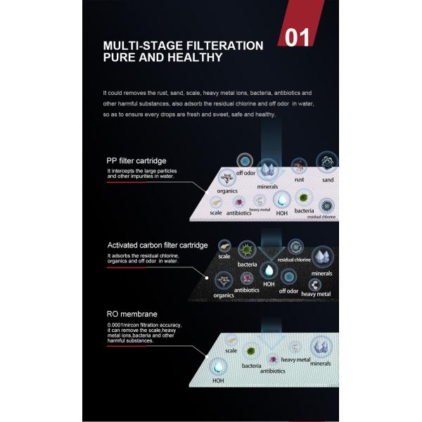 IMRITA RO Purifier System