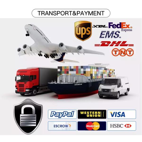 Indoor LSZH Optical Cable 4-Core 6-Core 8-Core 12-Core 24-Core 48-Core Single Mode Optical Fiber Cable GJFJV