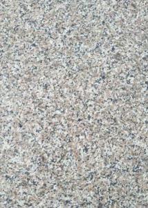 China Interior Walling / Flooring Granite Slabs For Kitchen Countertops High Durability wholesale
