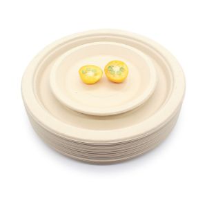 China LFGB EU 14cm Handpainted Food Takeaway Boxes 5.5 Inch Round Sugarcane Bagasse Plates wholesale