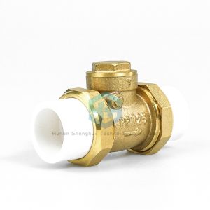 Vertical PPR Double Union Non Return Valve for Water Meter Free Sample