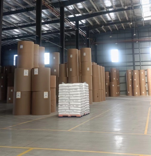 Factory Supply Custom PE Coated Paper Food Grade Paper Roll for Jumbo Roll and Sheet Greaseproof Paper Cup Raw Material