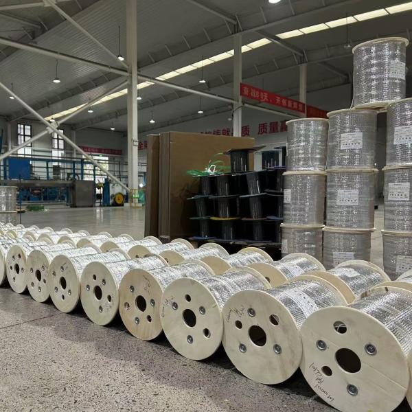 FTTH Indoor Drop Cable GJXH G652D G657A1 A2 For Networking Internet Communication