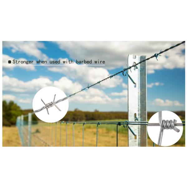 The Inner Wire Is 1.8Mm Farm Fence / Cattle Fence Netting / Grassland Fence Farm Fence Manufacturers Direct Selling