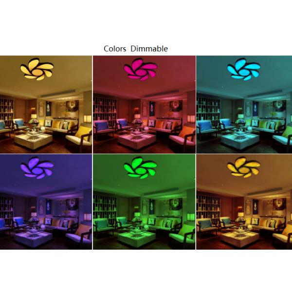 Dactylicapnos Scan Smart LED Bulb With Warm White Color 4320lm / 6480lm