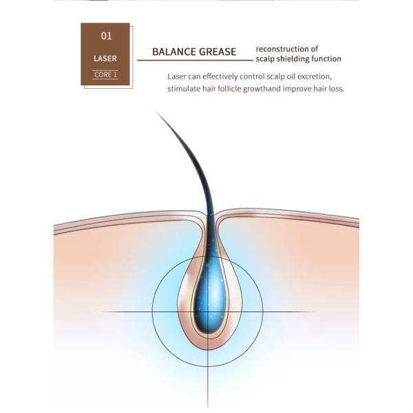 Personal Power Hair Grow Laser Brush Electric Comb for Hair Loss Treatment