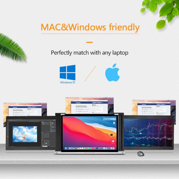 Extender Dual 11.6inch Laptop Portable Monitor FHD IPS USB A Type C