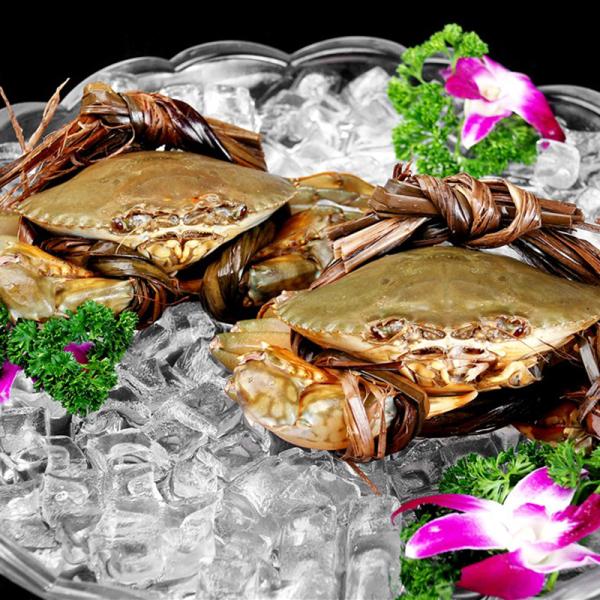 250kg ICE BLOCK Ice Cube Maker Machine with Advanced Technology and Automatic Function