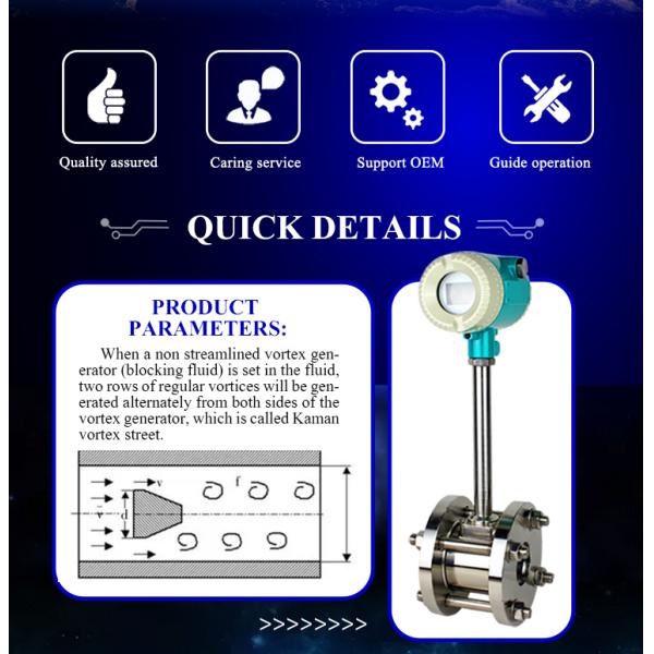 24VDC LCD Display Helium Gas Ammonia air Hydrogen Sulfide Magnetic Flow Meter Sensor
