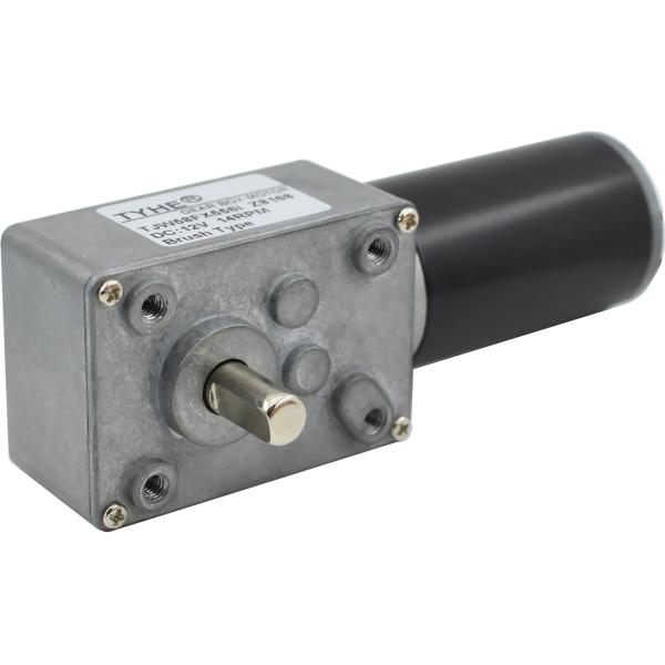 58W 15rpm Brushless DC Worm Gear Motor 24V Anti Interference For Smart Home