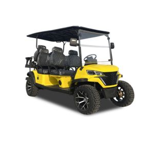 Scenic tour golf cart