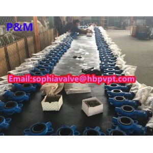 DIN cast iron wafer butterfly valve with pin