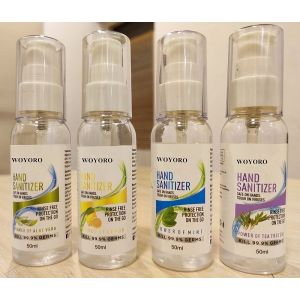 China OEM ODM Daily Antiseptic Hand Sanitizer With 75% Alcohol 250ML wholesale