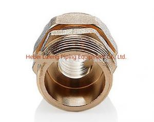 China Forged technics male thread brass fitting for plumbing pex-al pex pipe wholesale