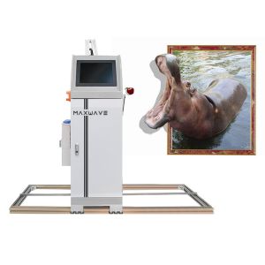 CMYKW 3D UV Wall Printer