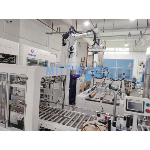 Flexible Collaborative Robot Palletizer Machine Heavy Duty Long Reach Arm