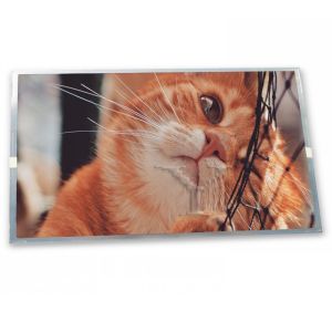 China High Resolution 10.0-Inch stock Compatible WLED LCD Display Module 800*600 ODM LM100SS1T522 Modules on sale