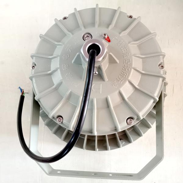 ATEX Zone 1 Explosion Proof High Bay Lighting Led 100W 50W Waterproof Gas Station