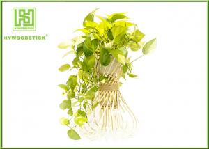 China Handled Natural Bamboo Flower Pots For Green Garden Plants Customized  Shape wholesale