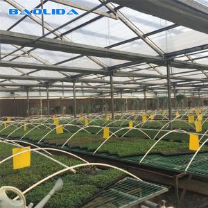 Commercial Seedbed Wire Rolling Greenhouse Benches For Flowers