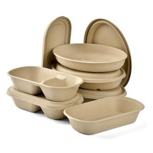 Eco Food Serving Tools Biodegradable 1000ml Takeaway Food Container