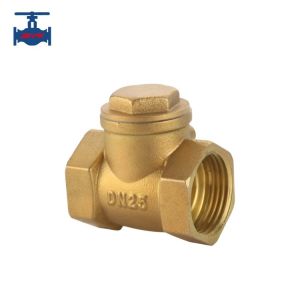 China Brass Horizontal Threaded Check Valve ISO9001 ISO14001 Certified with 18 Months Warranty wholesale