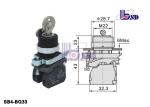 Professional Electrical Selector Key Switch ROHS And UL Certified