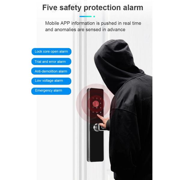 TH521 Aluminium Alloy Apartment Smart Door Lock TTLock Biometric Code Card Key Unlock