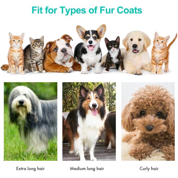 Professional Pet Grooming Tools Electric Clippers Blades with Vacuum Scissors Kit