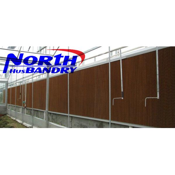 poultry meat trading companies