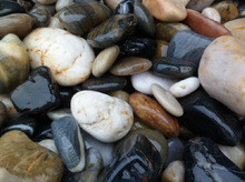 Professional Automated Bagging Machines Computer Quantitative Packing Scale