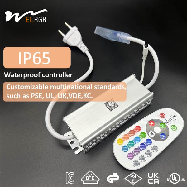 Waterproof Light Strip Controller Remote Control Bluetooth Control for Lighting Solutions