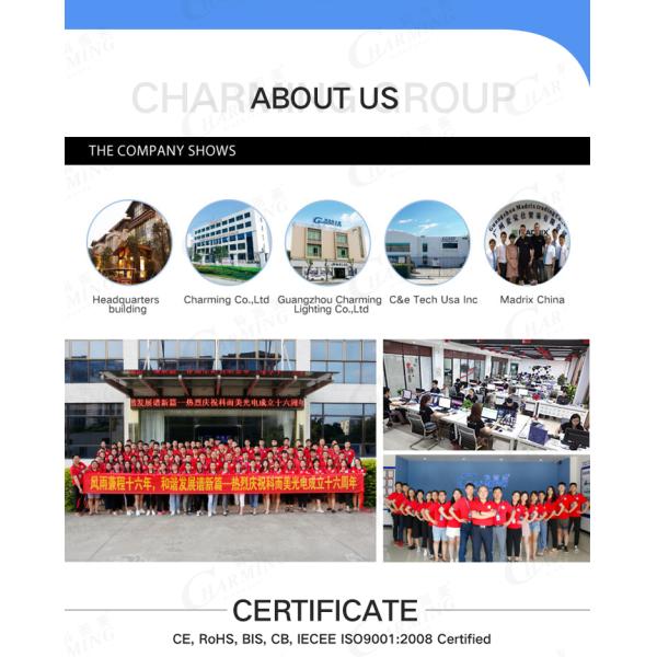 P5/P8 Outdoor Rental LED Display Magnesium Alloy Cabinet RGB High Refresh 3840Hz