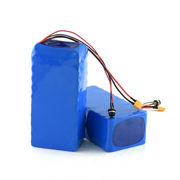 Rechargeable 18650 36v 10ah Lithium Ion Battery Pack Built in BMS