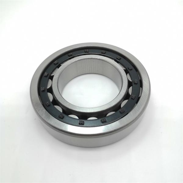 NJ305E Brass Roller Bearing NJ305 NJ305EM 25x62x17mm For Gearbox / Trucks