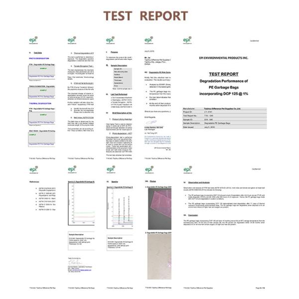 TEST REPORT