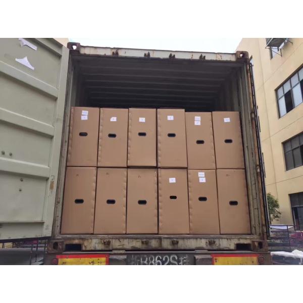 2017 new harley scooter motorcycle citycoco scooter prices with aluminium alloy rims