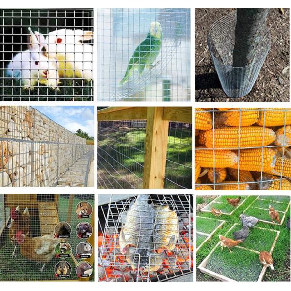 0.5-2 mm 1/2x1/2 1x1 1.5 inch 1/4 50x50 1cm square mesh galvanized after welding hot dipped galvanized welded wire