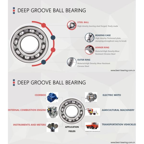 Auto Wheel Hub Bearing Clutch Bearing Tension Pulley Radial Bearing for Customization