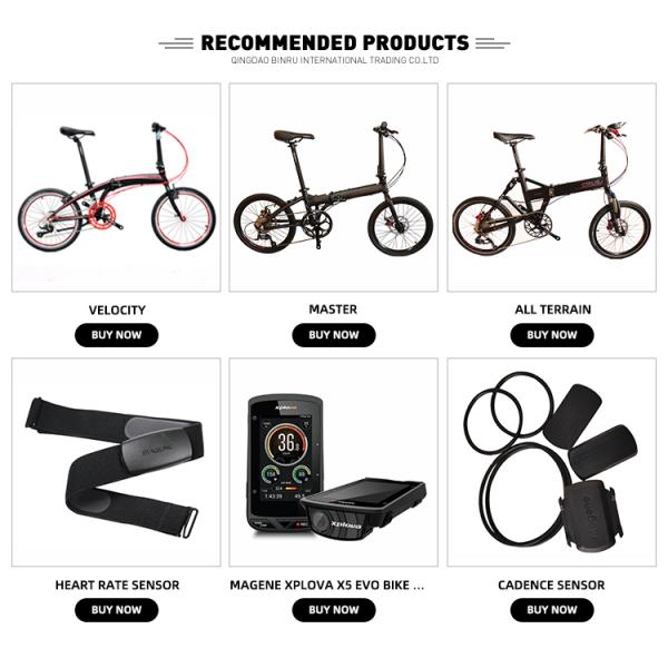 Crius Most Popular 14 Inch Foldable Exercise Road Bike Lightweight And Easy To Carry