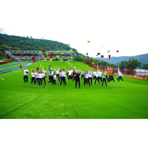 SoKe Electronic Co.,Ltd