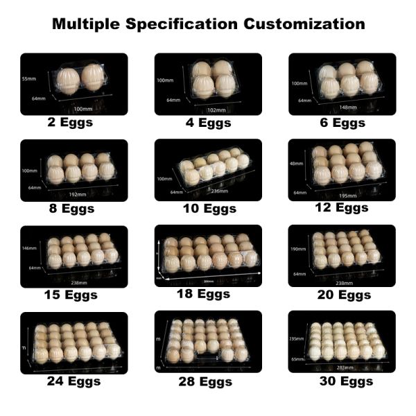Transparent Plastic Egg Trays Egg Box Free Shipping Plastic Egg Tray with Handle Hot Selling Lightweight Portable Egg Carrier Durable 28/30-Egg Trays