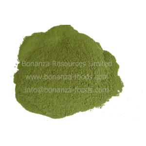 China Air Dried Celery Flour Dehydrated Celery Stalk Powder wholesale