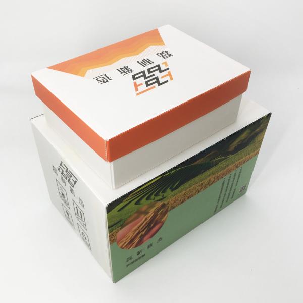 Anti Virus Waterproof Corrugated Plastic Storage Boxes With Lid 5 Layers Stackable