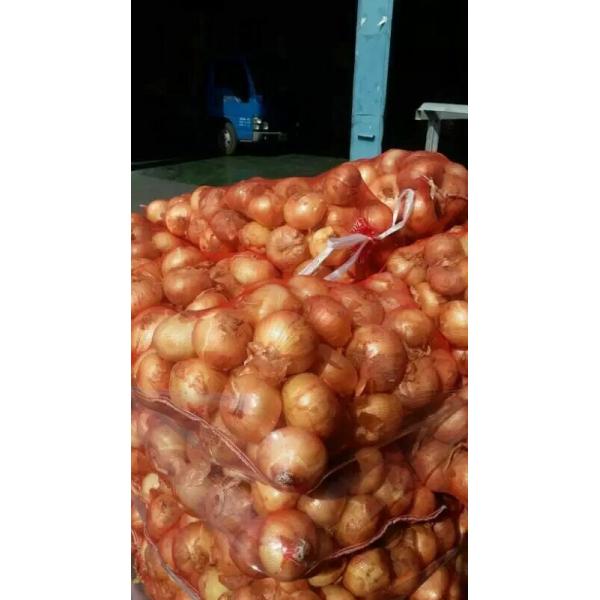 Custom Packing Scale Potato Bagging Equipment For Case / Box Package