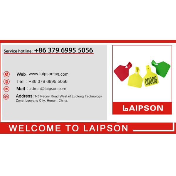 Self Piercing One Piece RFID Animal Ear Tag Waterproof For Pig Guilt Hog Piglet